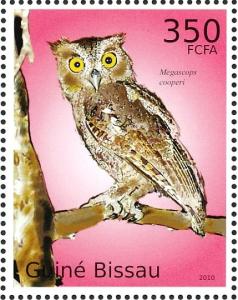 Colnect-3967-932-Pacific-Screech-Owl%C2%A0Megascops-cooperi.jpg