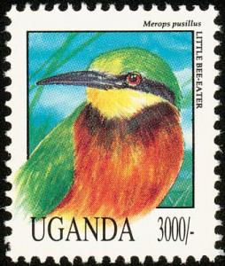 Colnect-1409-315-Little-Bee-eater-Merops-pusillus.jpg