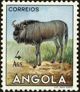 Colnect-4223-097-Blue-Wildebeest-Connochaetes-taurinus.jpg