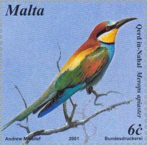 Colnect-131-470-European-Bee-eater-Merops-apiaster.jpg