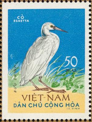 Colnect-1445-801-Pacific-Reef-Heron%C2%A0Egretta-sacra.jpg