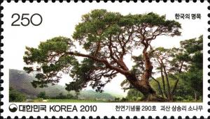 Colnect-1605-818-Pine-Tree-at-Samsong-ri-Goesan.jpg