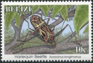 Colnect-2185-922-Harlequin-Beetle-Acrocinus-longimanus-.jpg