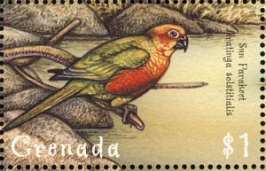 Colnect-2192-571-Sun-Parakeet-Aratinga-solstitialis.jpg