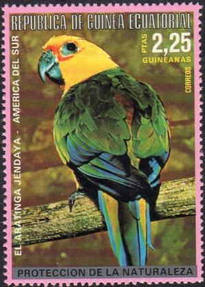 Colnect-2535-340-Sun-Parakeet-Aratinga-solstitialis.jpg