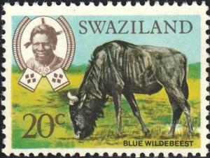 Colnect-2906-242-Blue-Wildebeest-Connochaetes-taurinus.jpg