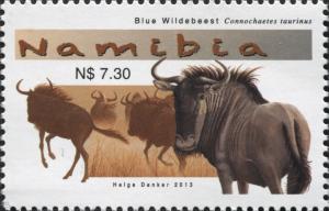 Colnect-3063-937-Blue-Wildebeest-Connochaetes-taurinus.jpg