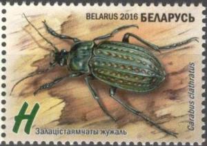 Colnect-3129-348-Ground-Beetle-Carabus-clathratus.jpg