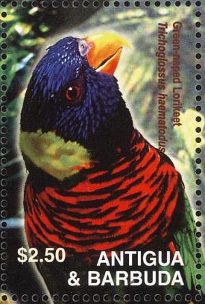 Colnect-3397-636-Coconut-Lorikeet-Trichoglossus-haematodus.jpg