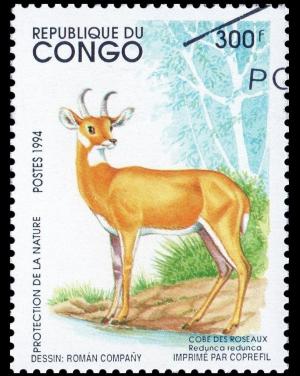 Colnect-3515-550-Bohor-Reedbuck-Redunca-redunca.jpg