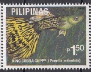 Colnect-3558-874-Guppy-Breed-Poecilia-reticulata.jpg