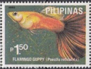 Colnect-3558-879-Guppy-Breed-Poecilia-reticulata.jpg