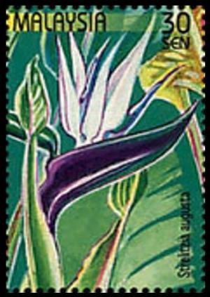 Colnect-4145-581-Stamp-Week--Strelitzia-augusta.jpg