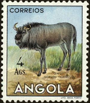 Colnect-4223-097-Blue-Wildebeest-Connochaetes-taurinus.jpg