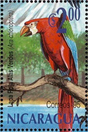 Colnect-4566-593-Red-and-green-Macaw-Ara-chloropterus.jpg