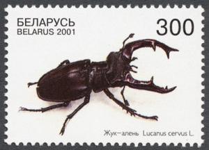 Colnect-857-579-Stag-Beetle-Lucanus-cervus.jpg