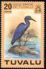 Colnect-1767-941-Pacific-Reef-Heron%C2%A0Egretta-sacra.jpg