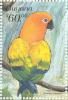 Colnect-3742-922-Sun-Parakeet-Aratinga-solstitialis.jpg