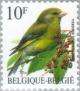 Colnect-186-762-European-Greenfinch-Carduelis-chloris.jpg