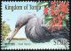 Colnect-2534-061-Pacific-Reef-Heron%C2%A0Egretta-sacra.jpg