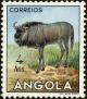 Colnect-4223-097-Blue-Wildebeest-Connochaetes-taurinus.jpg