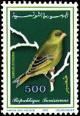 Colnect-552-916-European-Greenfinch-Carduelis-chloris.jpg