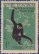 Colnect-6312-476-White-cheeked-Gibbon-Nomascus-sp.jpg