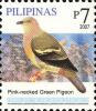 Colnect-2876-079-Pink-necked-Green-Pigeon-nbsp-Treron-vernans.jpg