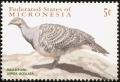 Colnect-1620-562-Malleefowl-Leipoa-ocellata.jpg