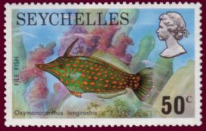 Colnect-1996-451-Orange-spotted-Filefish-Oxymonacanthus-longirostris.jpg