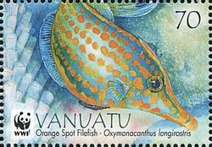 Colnect-4412-884-Orange-spotted-filefish-Oxymonacanthus-longirostris.jpg