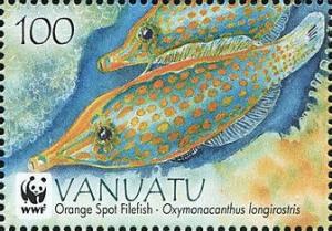 Colnect-4412-885-Orange-spotted-filefish-Oxymonacanthus-longirostris.jpg