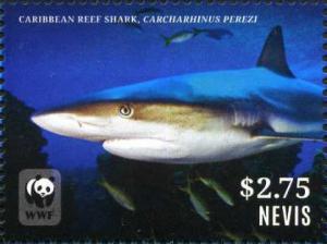 Colnect-4412-971-Caribbean-Reef-Shark-Carcharhinus-perezi.jpg