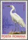 Colnect-4248-303-Little-Egret-Egretta-garzetta.jpg