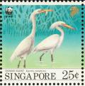 Colnect-1623-913-Chinese-Egret-Egretta-eulophotes.jpg