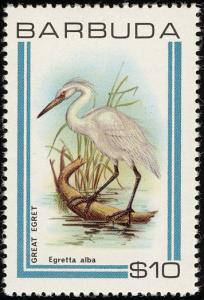 Colnect-1506-889-Great-Egret-Casmerodius-alba.jpg