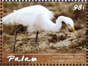 Colnect-3669-251-Intermediate-Egret%C2%A0%C2%A0%C2%A0%C2%A0Ardea-intermedia.jpg