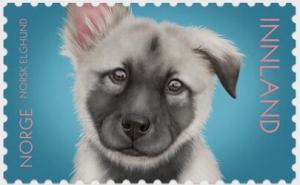 Colnect-6124-661-Norwegian-Elkhound-Puppy.jpg