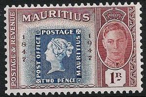 STS-Mauritius-5-300dpi.jpeg-crop-477x318at682-820.jpg