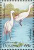 Colnect-1748-093-Great-Egret-Casmerodius-alba.jpg