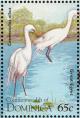 Colnect-1748-093-Great-Egret-Casmerodius-alba.jpg