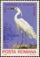 Colnect-4248-303-Little-Egret-Egretta-garzetta.jpg