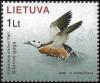 Colnect-3762-798-Steller-s-Eider-Polysticta-stelleri.jpg