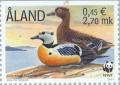 Colnect-160-904-Steller--s-Eider-Polysticta-stelleri.jpg