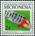 Colnect-5580-371-Cheilinus-fasciatus.jpg