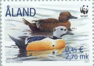 Colnect-160-905-Steller--s-Eider-Polysticta-stelleri.jpg