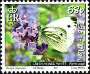 Colnect-3952-698-Green-veined-White-Pieris-napl.jpg