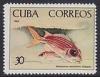 Colnect-1621-934-Longjaw-Squirrelfish-Holocentrus-ascensionis.jpg