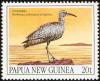 Colnect-1706-560-Siberian-Whimbrel-Numenius-phaeopus-variegatus.jpg