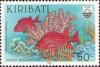 Colnect-1752-142-Violet-Squirrelfish-Holocentrus-violaceus-.jpg